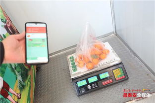 泰安首座24小時智能無人果蔬店落地泮河社區，新鮮水果零售開啟智慧新篇章